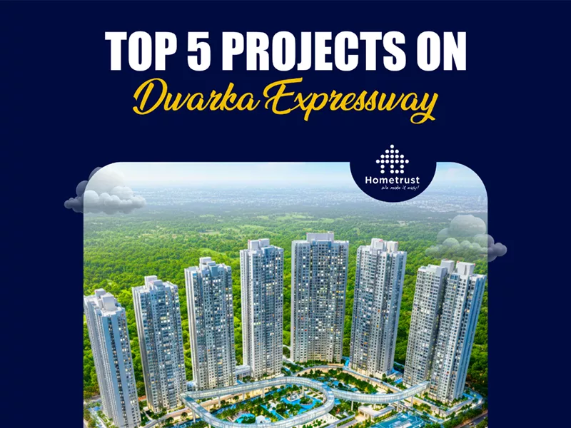 Brochure & Print Design